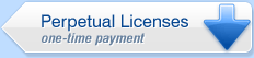 Perpetual Licenses
